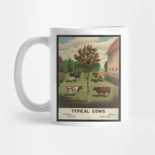 "Typical Cows" by Scottish Arms Dealer